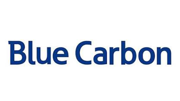 Blue Carbon Logo